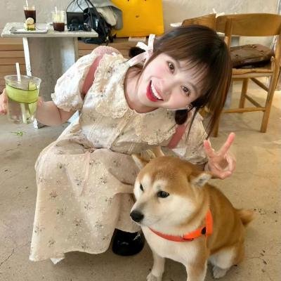 庙街故事